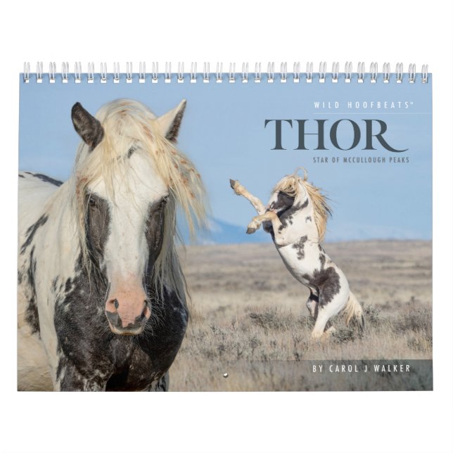 Thor, Calendário de Cavalos Selvagens (Capa)