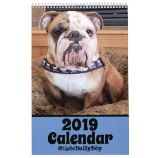 Thor o calendário do buldogue 2019