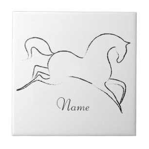 Thunder_Cove Cavalo Selvagem