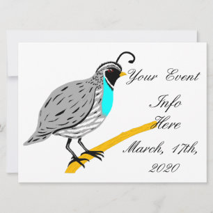 Thunder_Cove da Quail com garganta azul