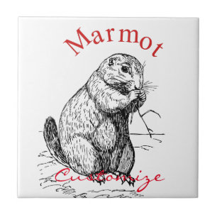 Thunder_Cove de Animais Marmotes