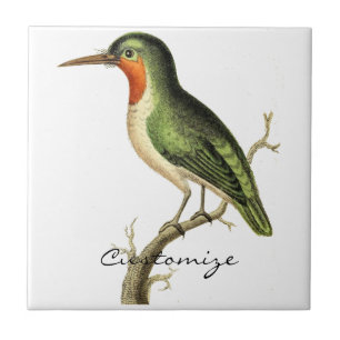 Thunder_Cove do Hummingbird