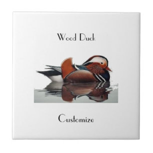 Thunder_Cove do Pato da Madeira