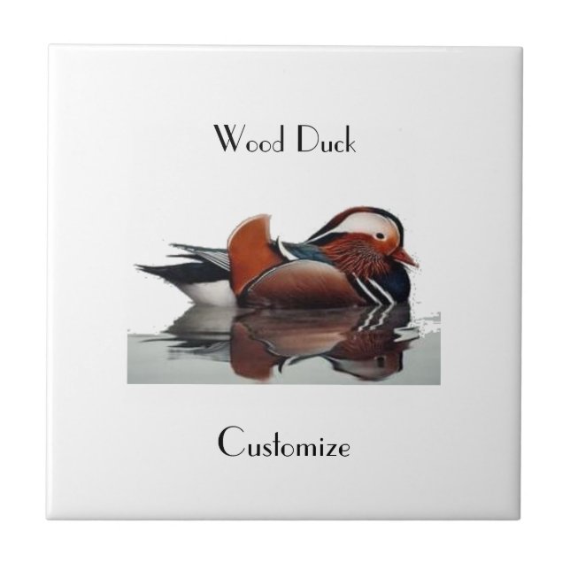 Thunder_Cove do Pato da Madeira (Frente)