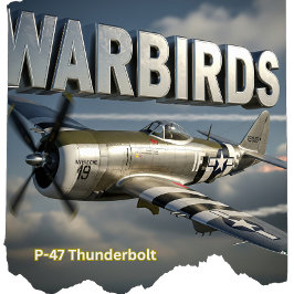 Thunderbolt Vintage WII P- 47