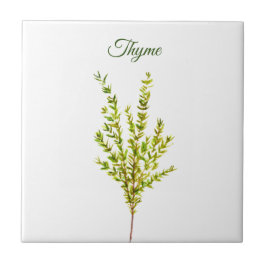 Thyme Herb Greeneren Kitchen Culinária Verde