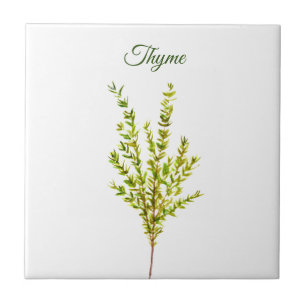 Thyme Herb Greeneren Kitchen Culinária Verde