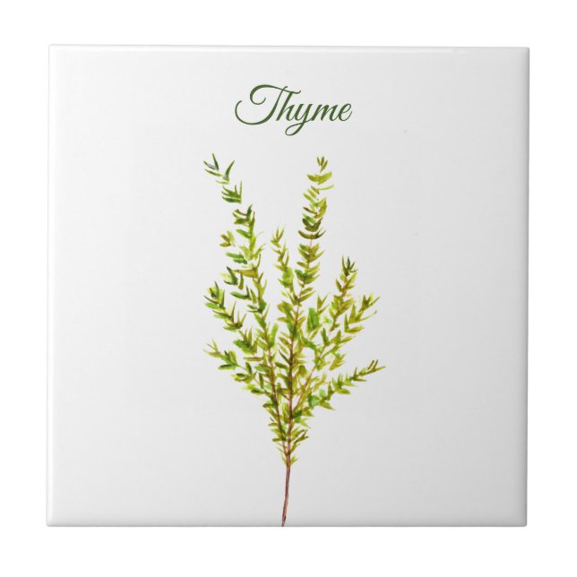 Thyme Herb Greeneren Kitchen Culinária Verde (Frente)
