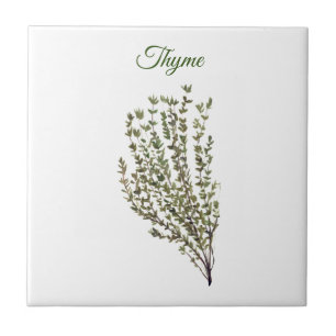 Thyme Herb Greeneren Kitchen Culinária Verde