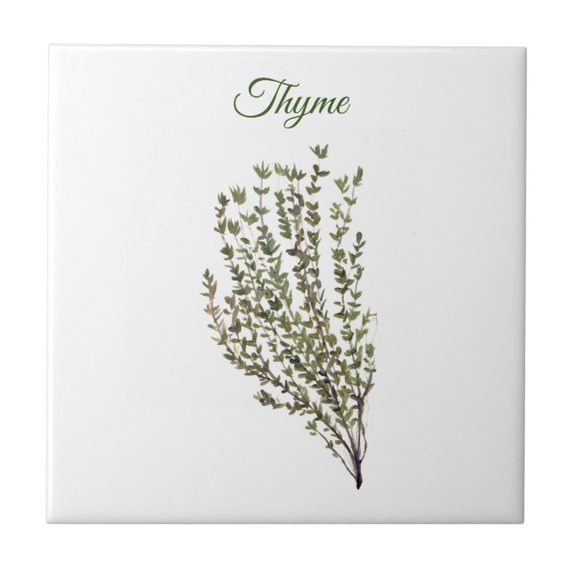 Thyme Herb Greeneren Kitchen Culinária Verde (Frente)