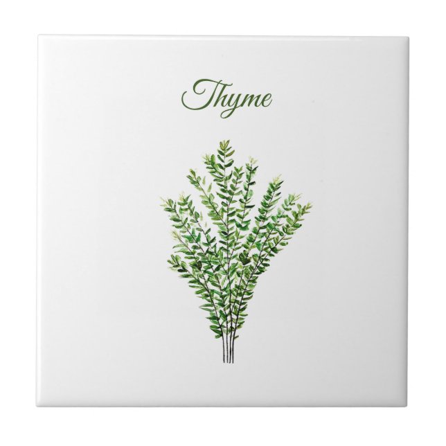 Thyme Herb Greeneren Kitchen Culinária Verde (Frente)