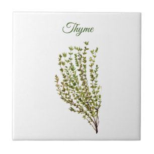 Thyme Herb Greeneren Kitchen Culinária Verde Plan