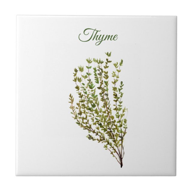 Thyme Herb Greeneren Kitchen Culinária Verde Plant (Frente)