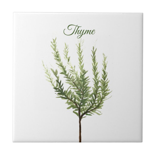 Thyme Herb Greeneren Kitchen Culinária Verde Plant (Frente)