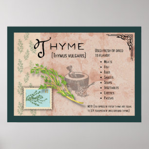Thyme Herb Poster