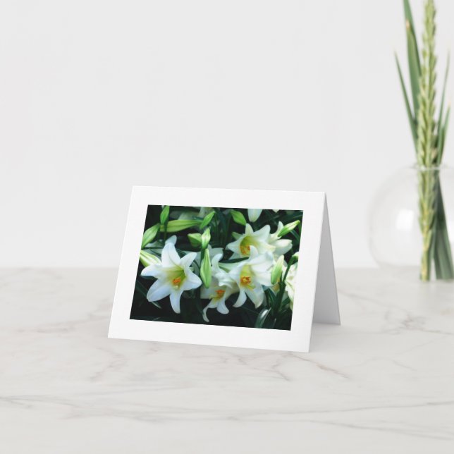 *TIA* VOCÊ É CARTÃO DE PÁSCOA AMADO (Frente)