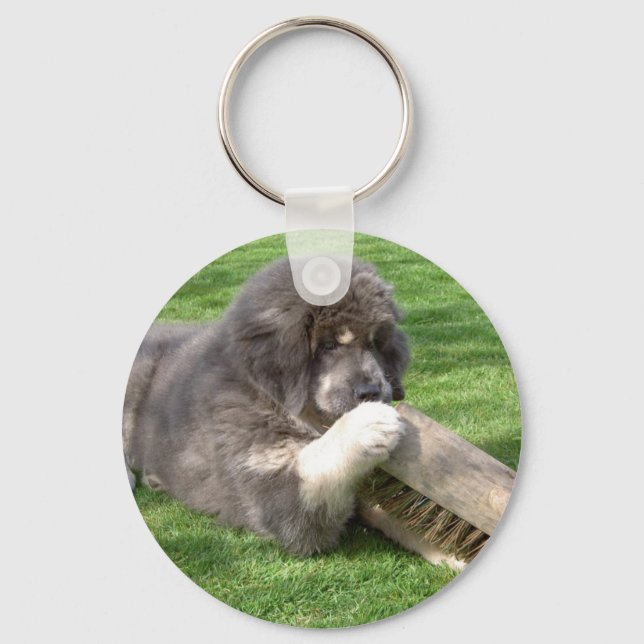 Tibetano Mastiff Jampo com chaveiro de vassoura (Frente)