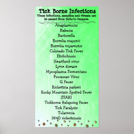 Tick Borne Infection list Lyme Awarness Poster