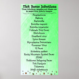 Tick Borne Infection list Lyme Awarness Poster