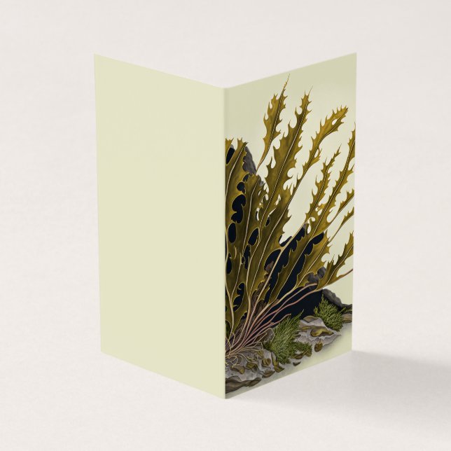 Tidal Fronds (Exterior)