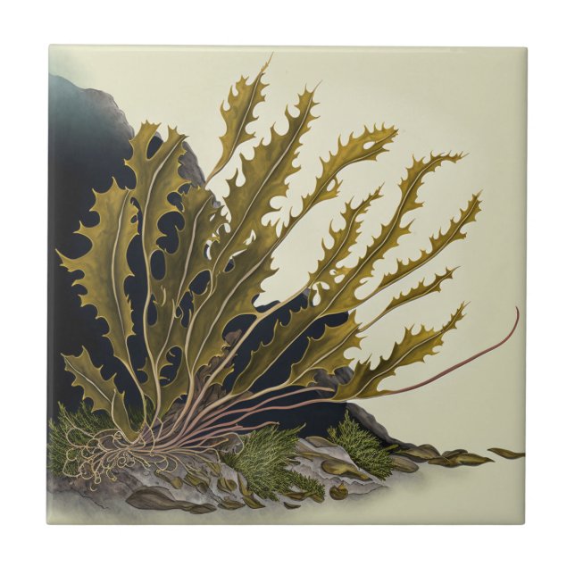 Tidal Fronds (Frente)