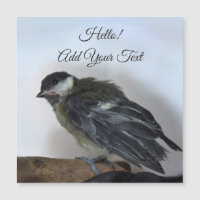 Tidi, meu Pássaro, o Parus Major Magnetic Card