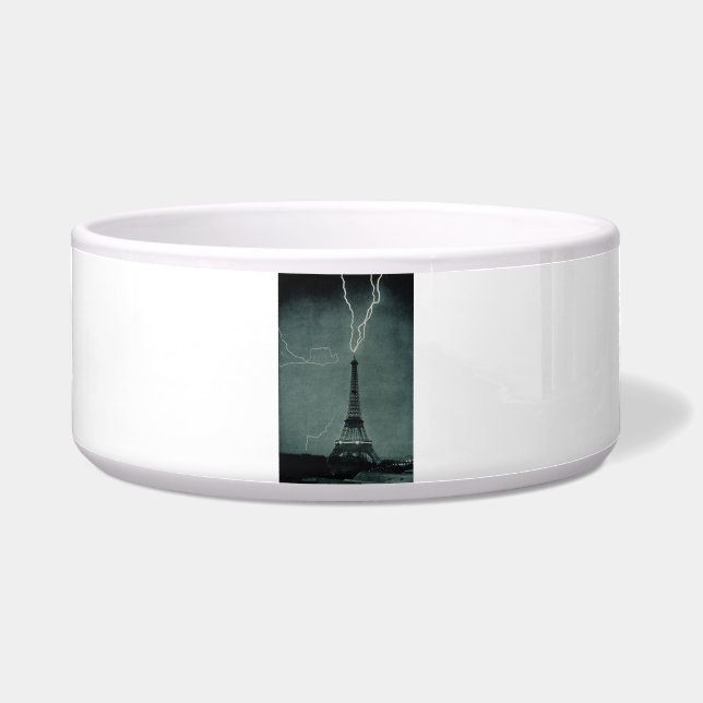 Tigela A Torre Eiffel Apanhou-Se Por Um Raio (Frente)