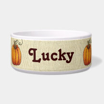 Abóboras de serapilheira