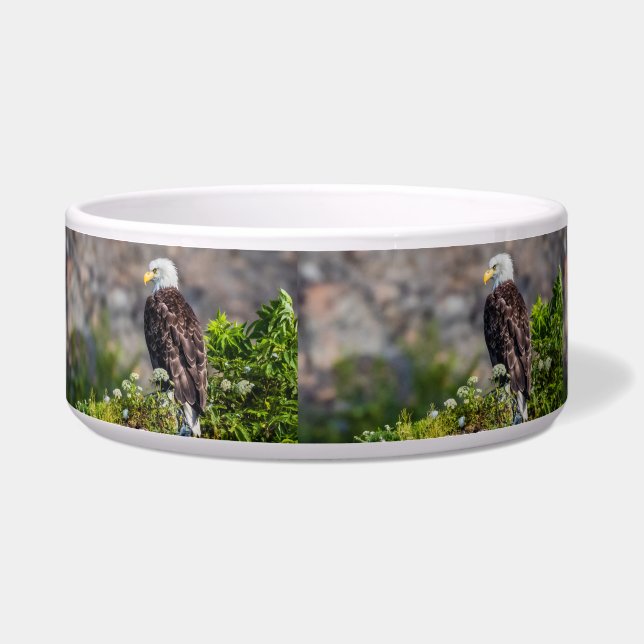 Tigela Águia caída sentada na rocha (Esquerda)