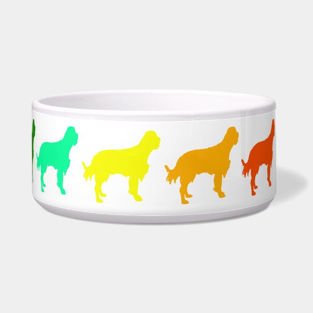 Tigela Arco-Íris Pet Bowl (Direita)