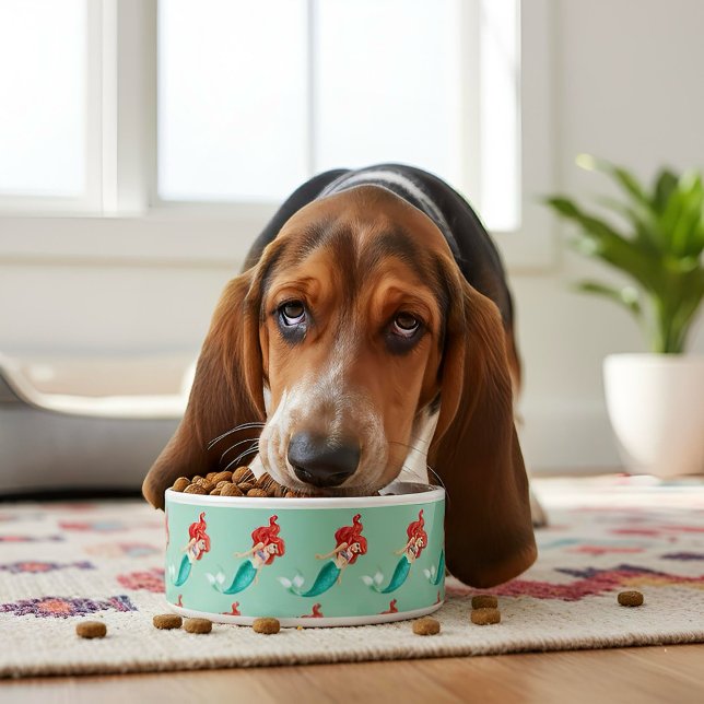 Tigela Ariel Bowl (Criador carregado)