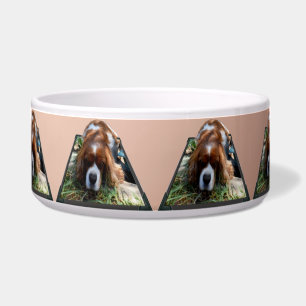 Tigela Arte Popout do Cavalier Spaniel,