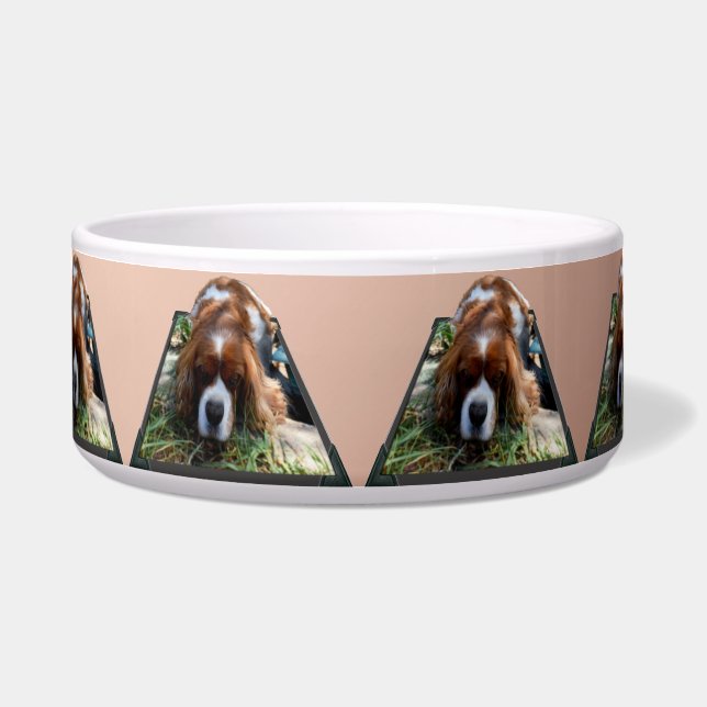 Tigela Arte Popout do Cavalier Spaniel,  (Frente)