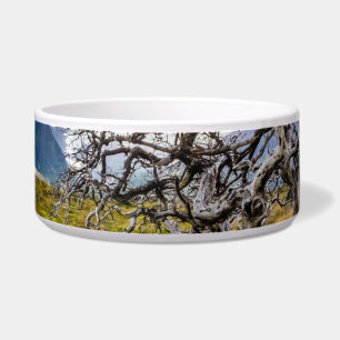 Tigela Árvore queimada, Torres del Paine, Chile