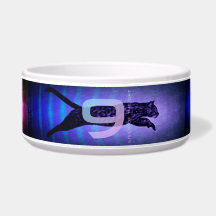 As 9 Vidas do Pet Bowl Cerâmico