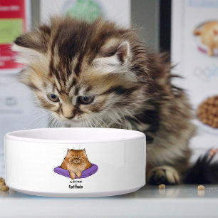 Tigela Atitude engraçada de gato