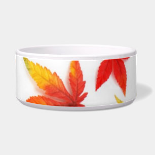 Tigela Autumn Deixa Pet Bowl