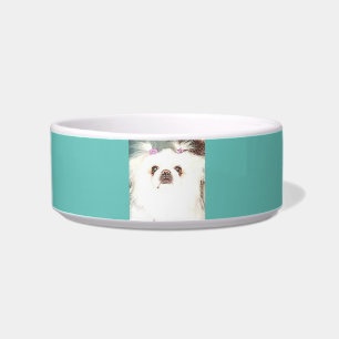 Tigela Bacia cerâmica do cão de Pekingese