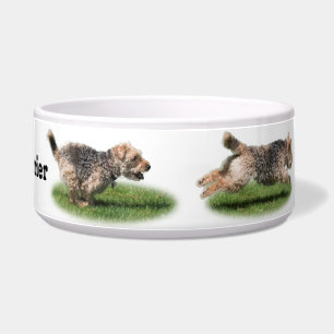 Tigela Bacia de funcionamento do cão de galês Terrier
