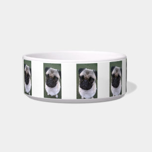 Tigela Bacia do alimento para cães do Pug