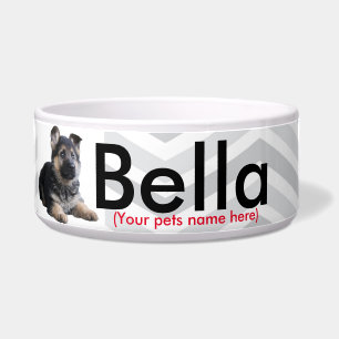 Tigela Bacia do animal de estimação/alemão personaliza