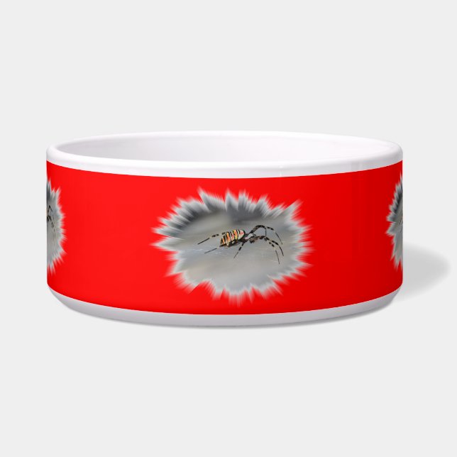 Tigela Bacia do animal de estimação da aranha (Frente)