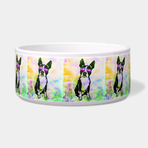 Tigela Bacia do animal de estimação de Boston Terrier