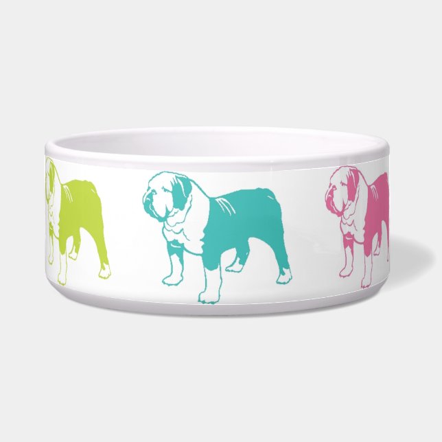 Tigela Bacia do buldogue do arco-íris (Frente)