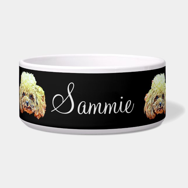 Tigela Bacia do cão de caniche do brinquedo (Frente)