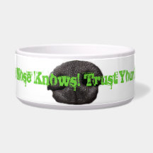 Bacia do cão do nariz