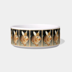 Tigela Bacia do coelho de coelho de Cptn Carrotpants