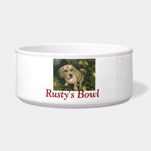 Tigela Bacia personalizada do alimento para cães