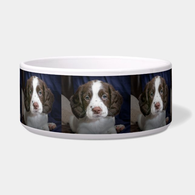 Tigela Bacia personalizada do alimento para cães da foto (Frente)