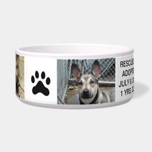 Tigela Bacia personalizada do cão para seu melhor amigo